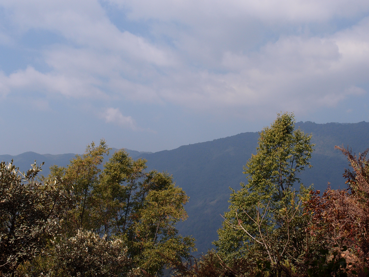 2018-01-16 12 Uhr - Im Shivapuri Nagarjun National Park (Nagi Gumba) (Foto) 